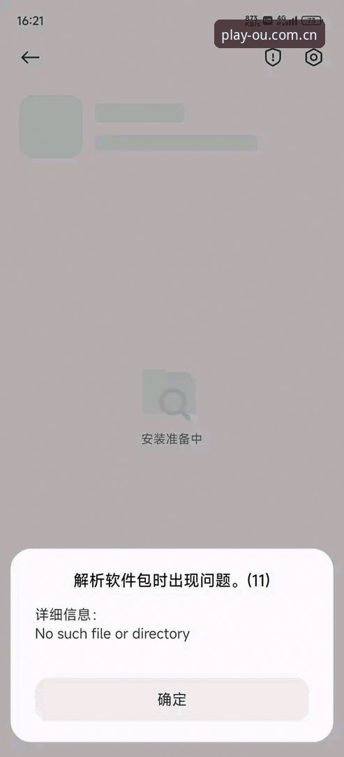 OUSports APP下载安装失败，问题出在哪个环节？